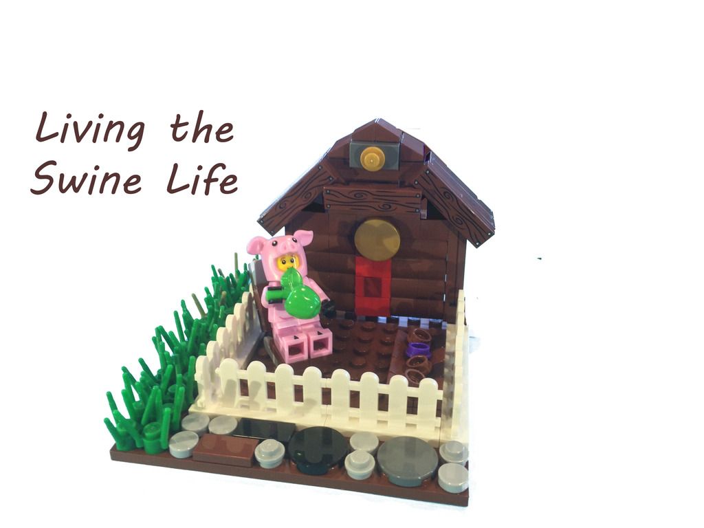 photo Living the Swine Life_1jpg