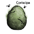 Coriscipa.png