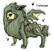 Coriscipa4.png