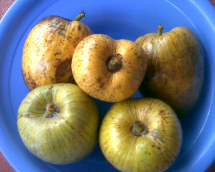 Những món quà quê dân dã của ngày xưa.... - 2