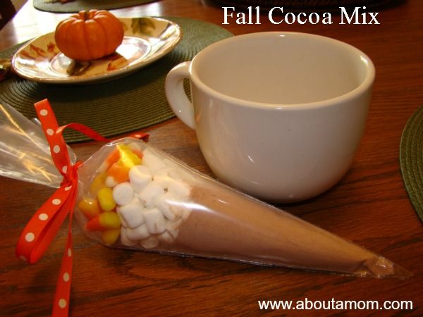 Hot Cocoa Mix Recipe for Fall at AboutAMom.com