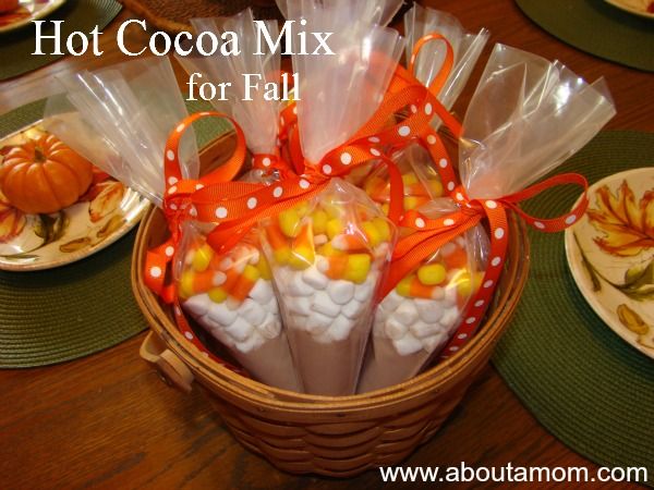 Hot Cocoa Mix Recipe for Fall at AboutAMom.com