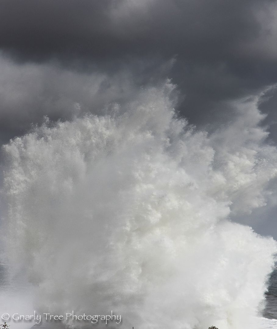 IMAGE: http://i1099.photobucket.com/albums/g390/SquishyFJ/Photo%20book/Photobook-1-10_zpse7a4bdab.jpg