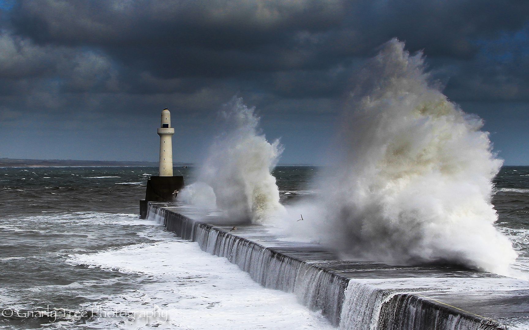 IMAGE: http://i1099.photobucket.com/albums/g390/SquishyFJ/Photo%20book/Photobook-1-11_zpsa086c721.jpg