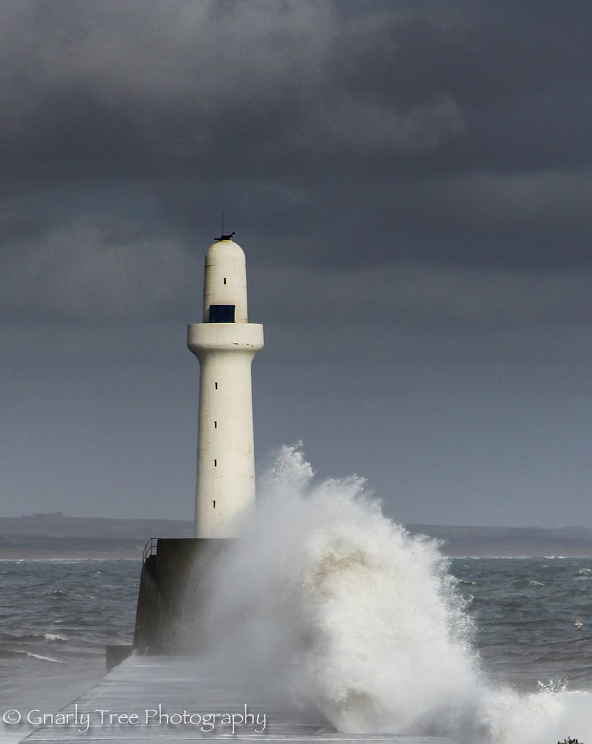 IMAGE: http://i1099.photobucket.com/albums/g390/SquishyFJ/Photo%20book/Photobook-1-8_zps9de78974.jpg