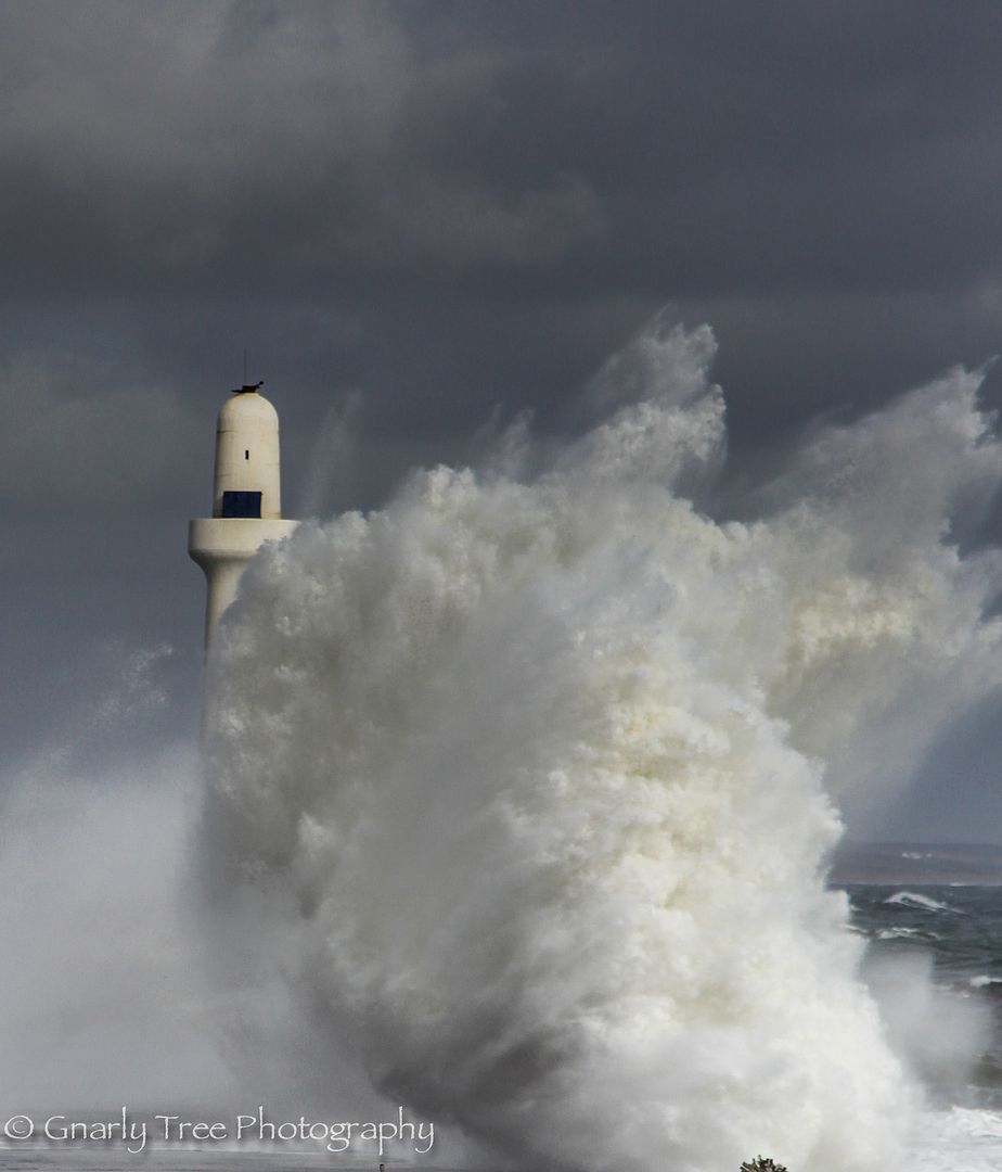 IMAGE: http://i1099.photobucket.com/albums/g390/SquishyFJ/Photo%20book/Photobook-1-9_zps48111d44.jpg