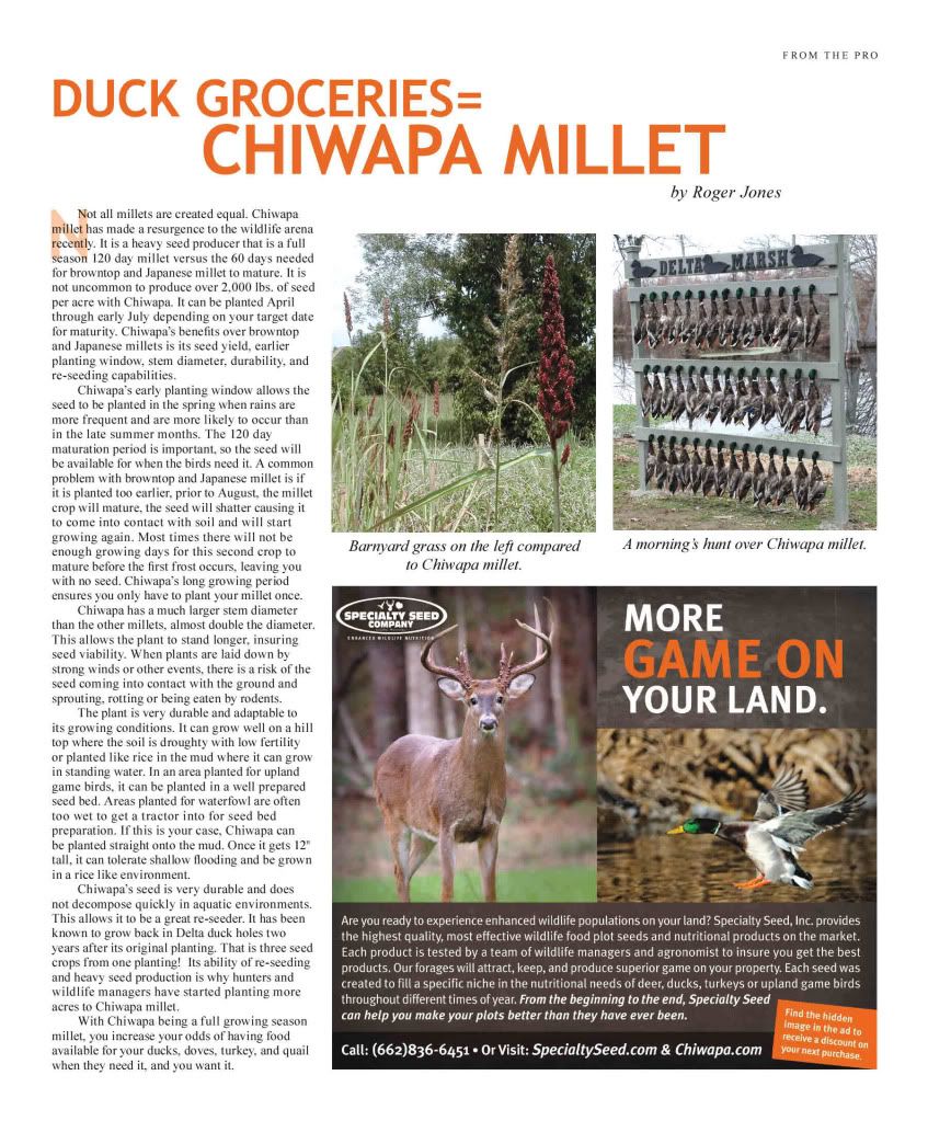 Chiwapa Millet Refuge Forums