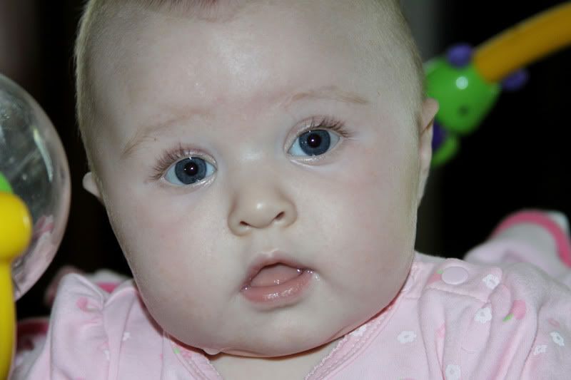 IMAGE: http://i1099.photobucket.com/albums/g397/melissamcneesephotography/riley.jpg