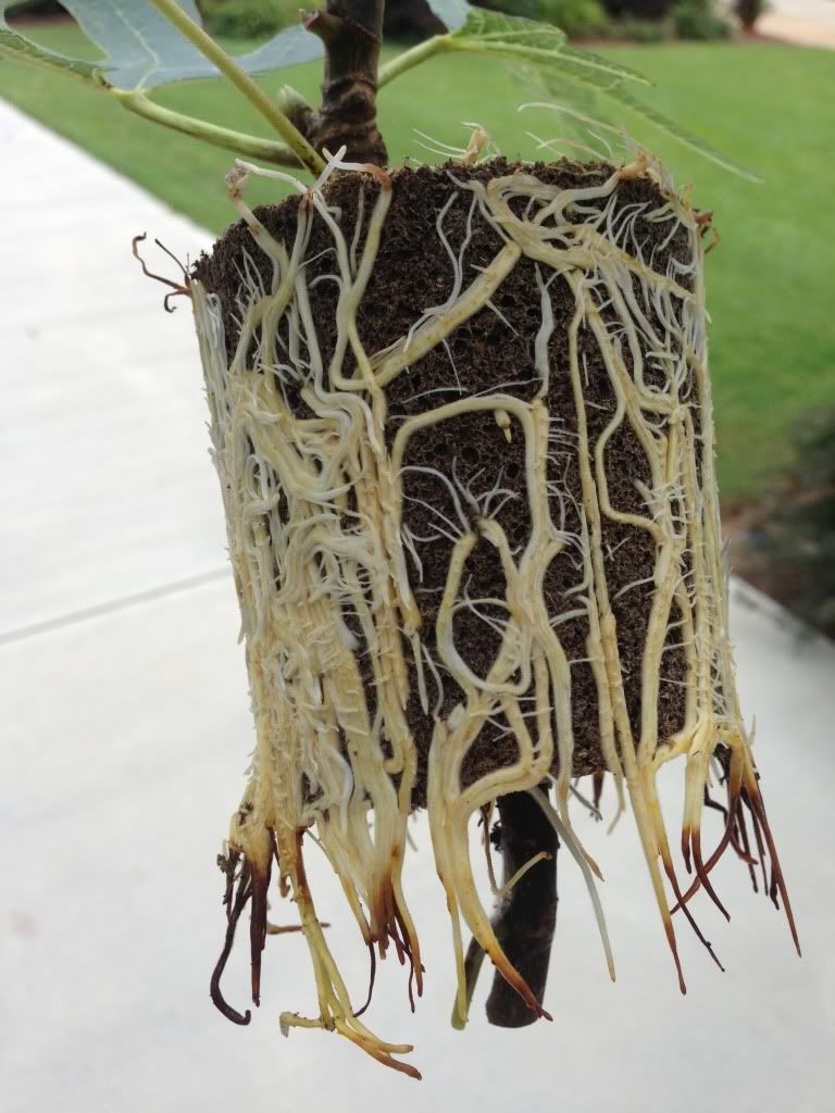 [198CAB7A_zps982e1c5a]