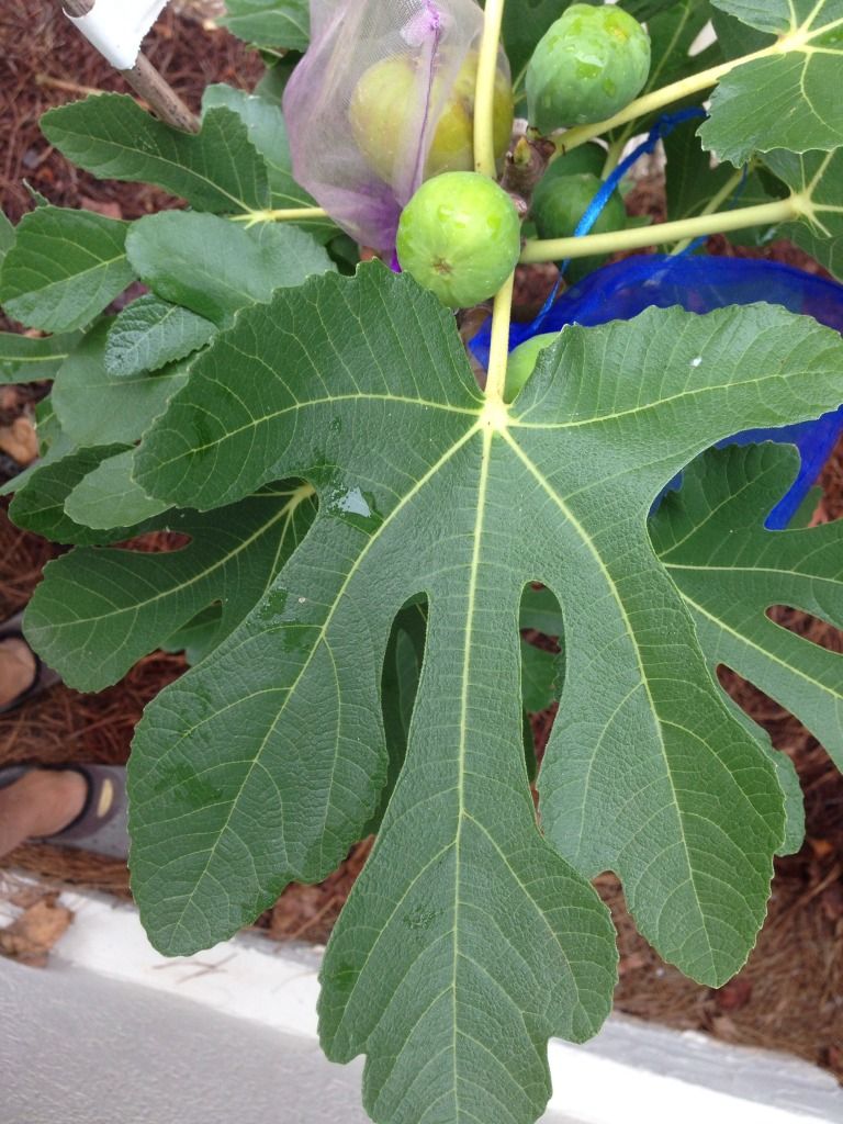 [E88AAC6B_zps84ef7775]