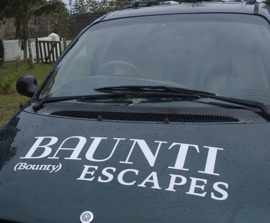 Baunti Escapes Minivan