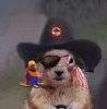 pirate-squirrel2.jpg