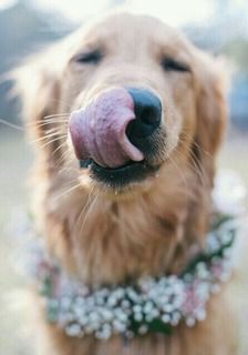  photo image.jpg1_zpsjtl1gdog.jpg