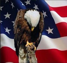  photo image.jpg1_zpsqztodynu.jpg