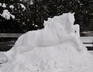  photo imagejpg1_zpse0099435.jpg