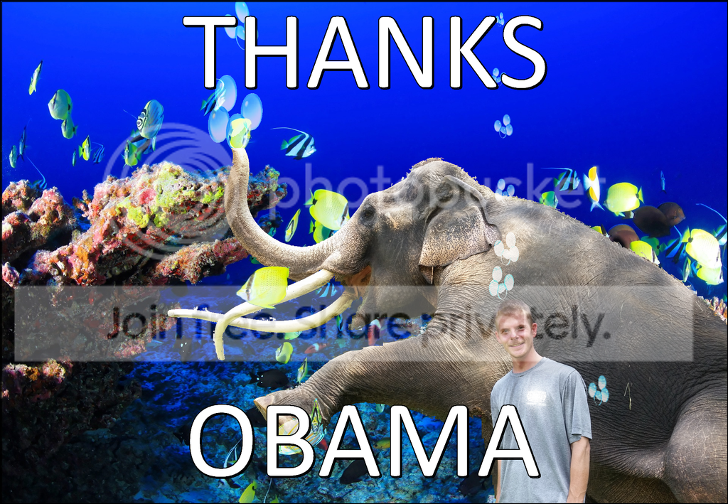 Republicans be like