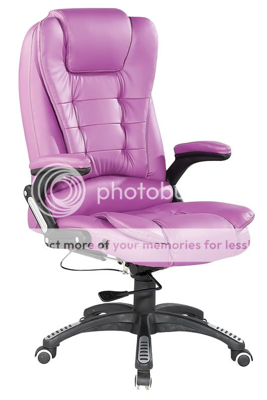Luxury Reclining Designer Office Chair Desk Chair E 11