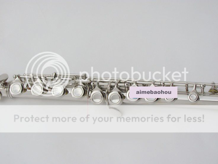 NEW NICKEL PLATED FLUTE WITH CASE FOR BEGINER Split E  